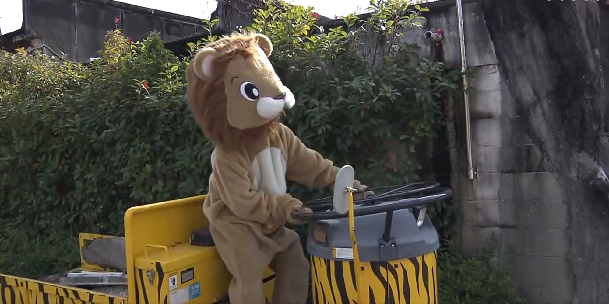 Ein Mitarbeiter in einem Löwenkostüm simuliert einen Ausbruch aus dem Zoo in Japan