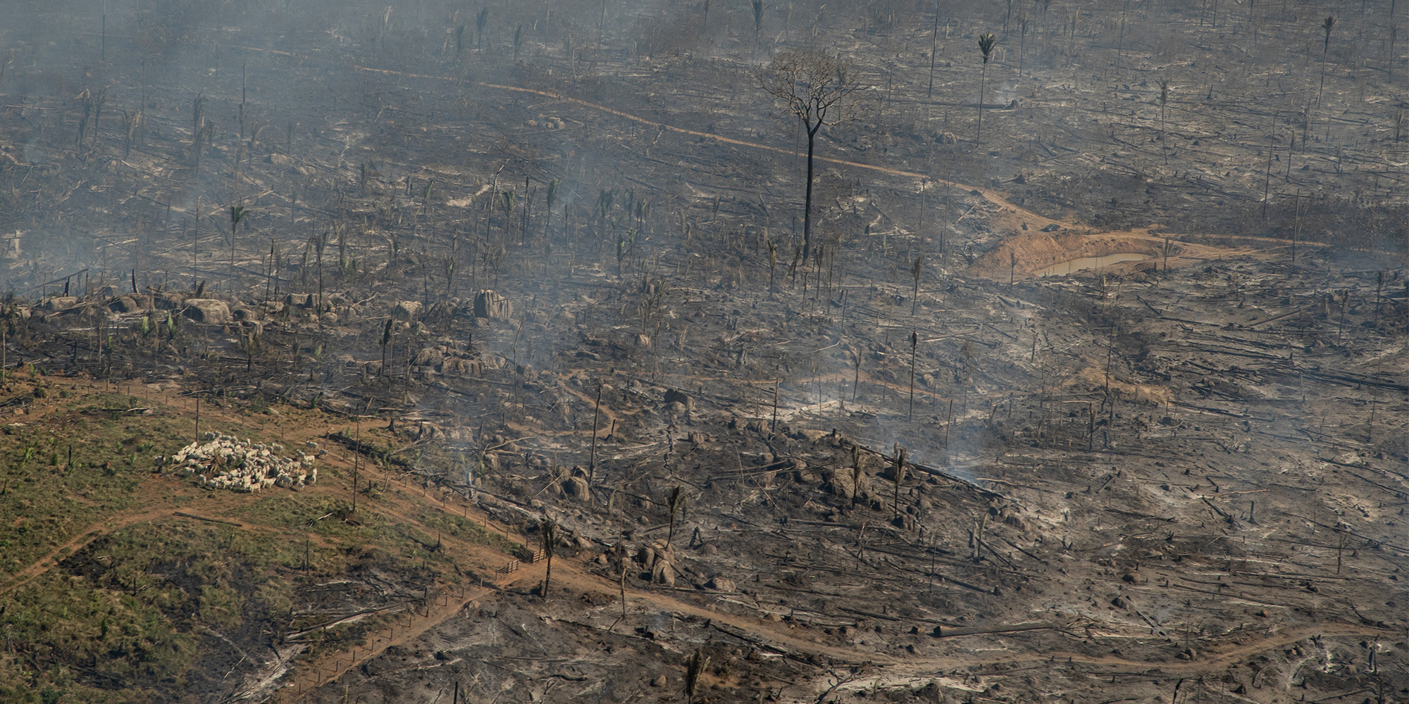 Abgeholzte Amazonas-Landschaft