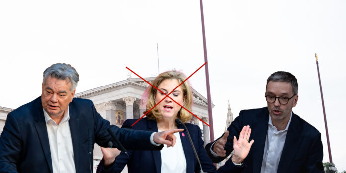 meinl reisinger kickl kogler