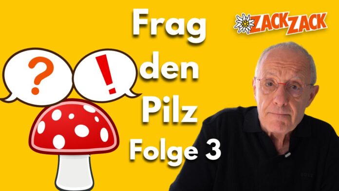 Frag den Pilz Folge 3