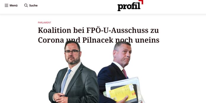 Hafenecker, Pilnacek, Profil