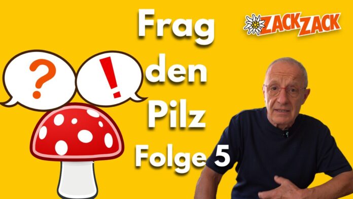 zackzack yt thumbnails 8