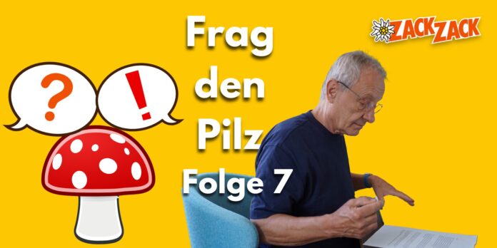 titelbilder website 19