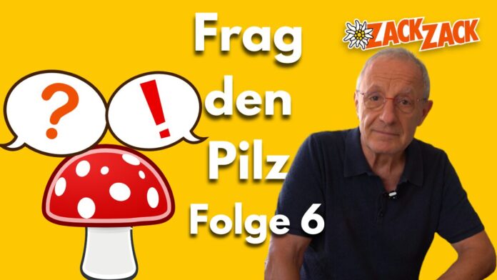 Frag den Pilz Folge 6
