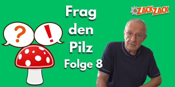 Frag den Pilz Episode 8